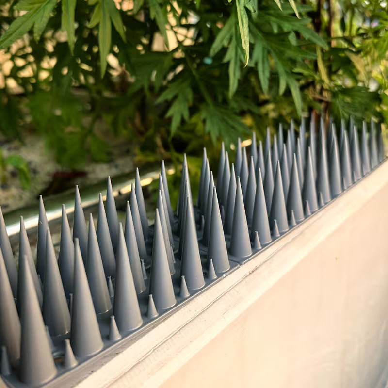 Large Spikes for Outdoor Use Against Pigeons, Mice and All Kinds of Birds Color GRAY