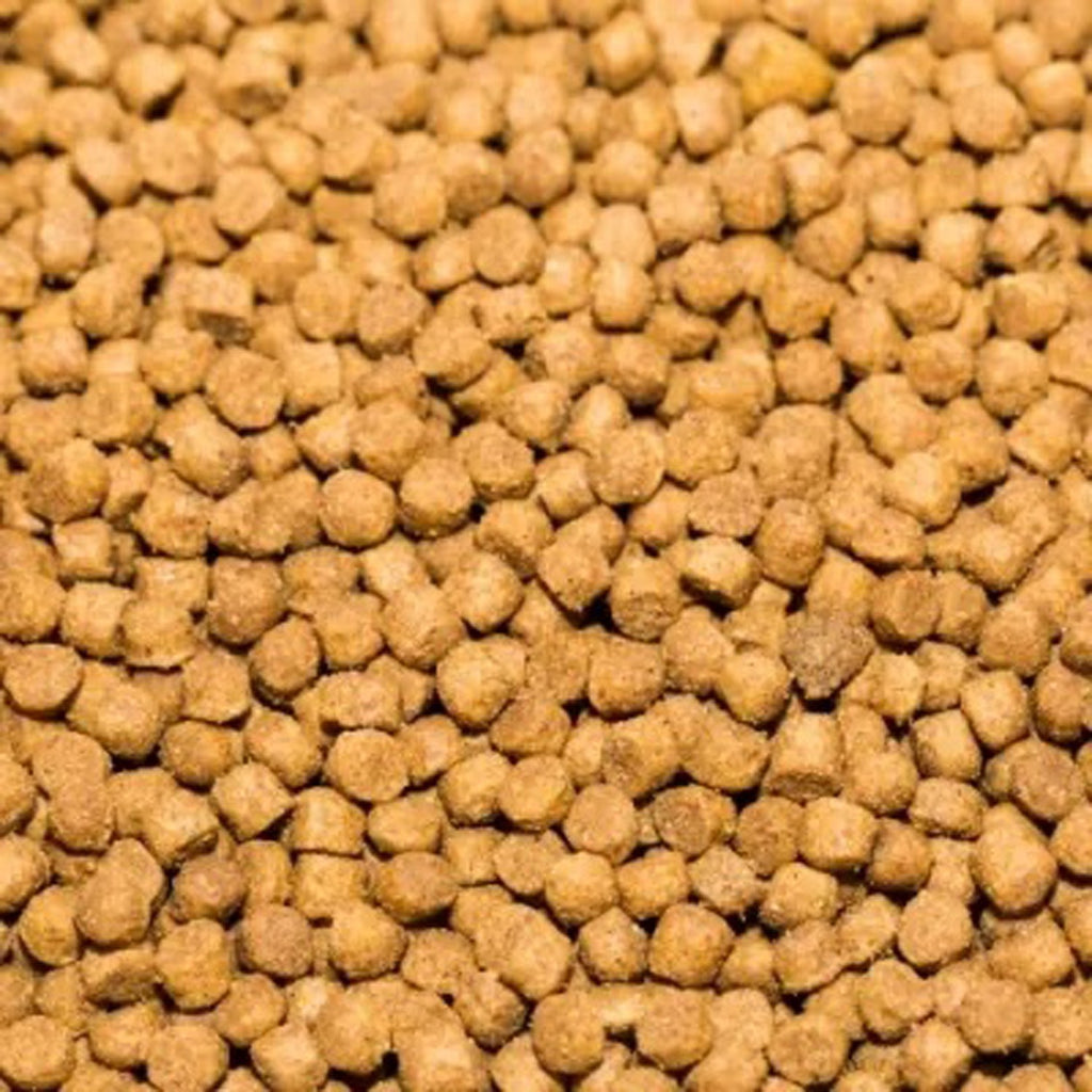 Whiskas Dry Cat Food with Fish Natural 1.4 kg NEW