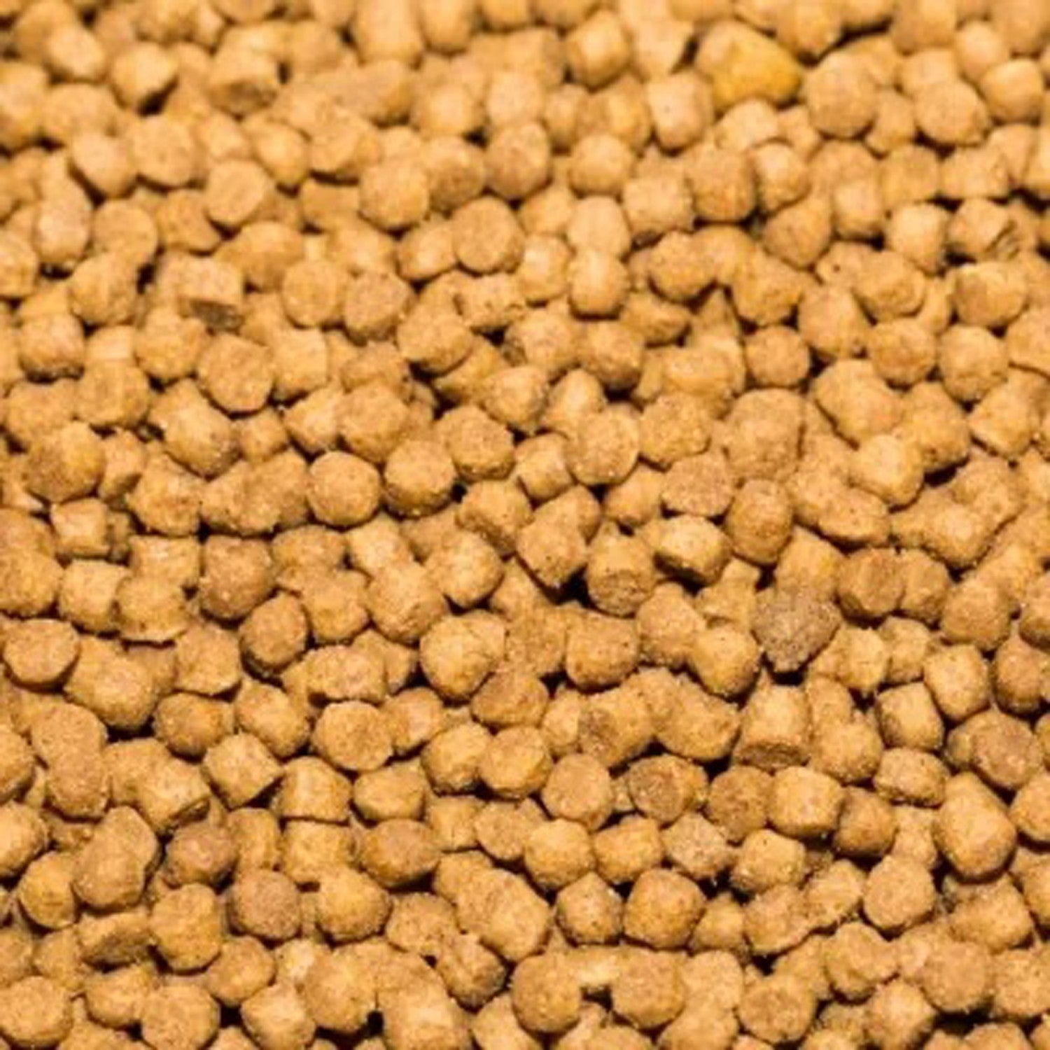 Whiskas Dry Cat Food with Fish Natural 1.4 kg NEW