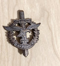 Antique Luftwaffe Military Badge Original