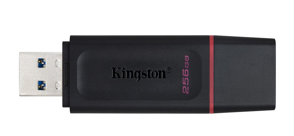 KINGSTON 256GB USB 3.2 DataTraveler Exodia
