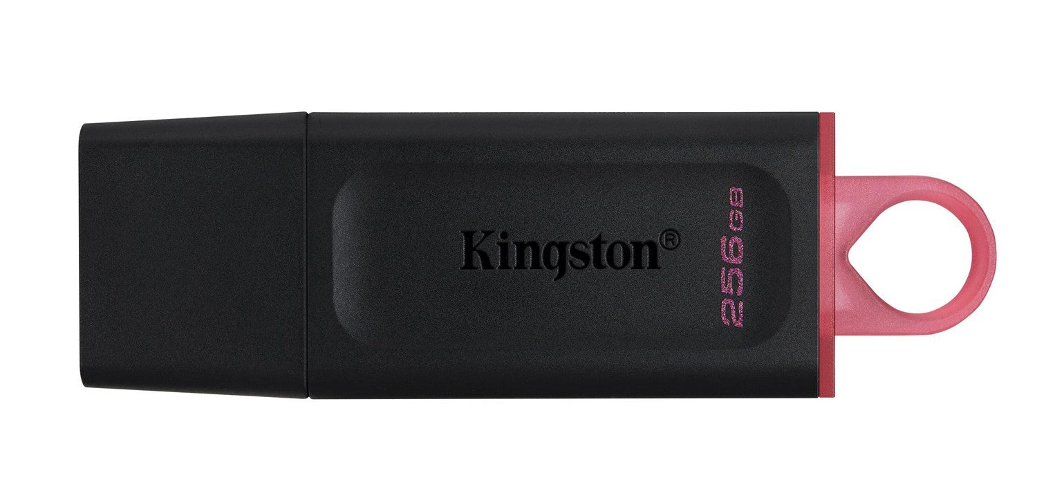 KINGSTON 256GB USB 3.2 DataTraveler Exodia