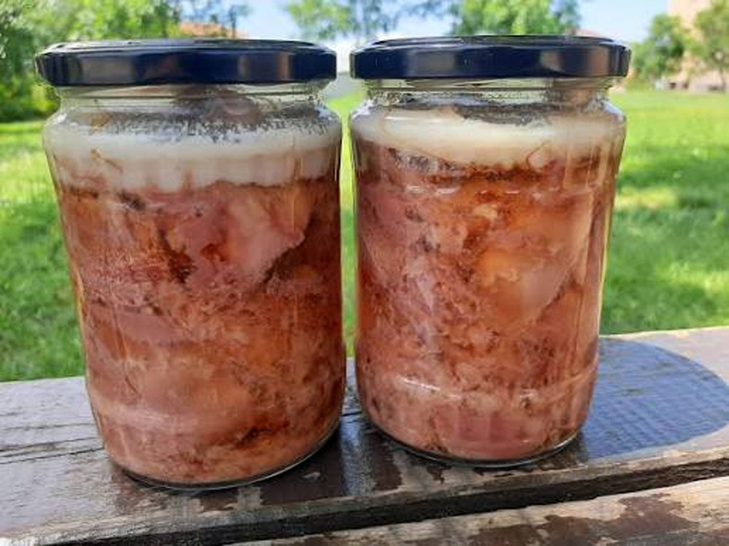 PIG EARS IN A Glass JAR Thracian 2 x 300gr Bio Natural