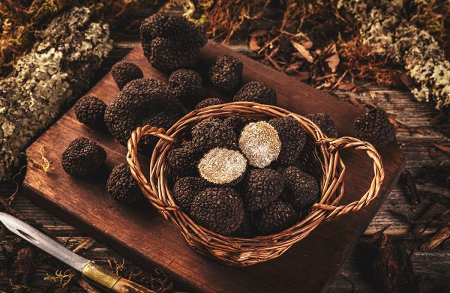Fresh Black Summer Truffle  Tuber aestivum or Scorzone I quality Fresh 500 gr