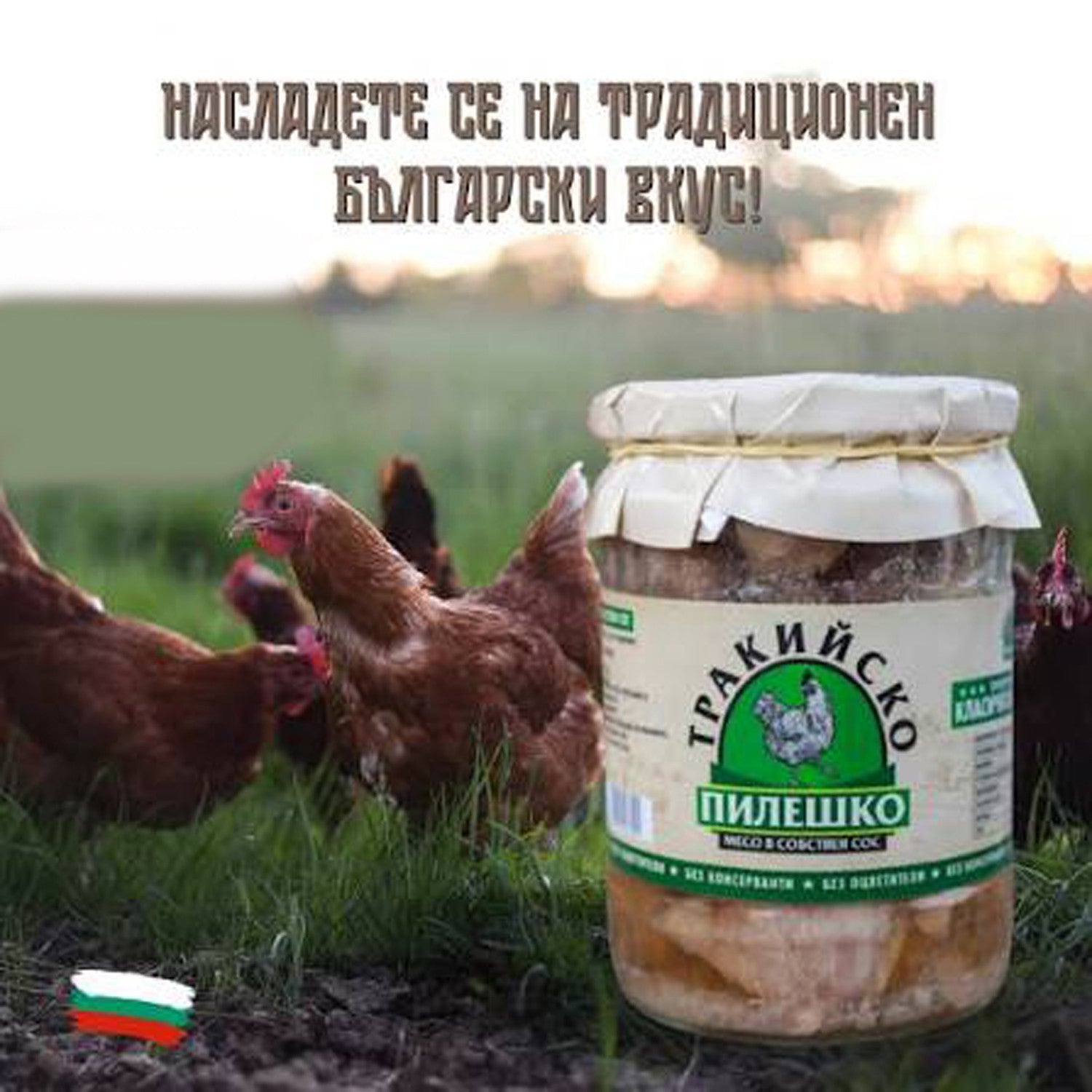 Chicken meat in its own sauce Thracian 2 piece - 2 x 500gr
