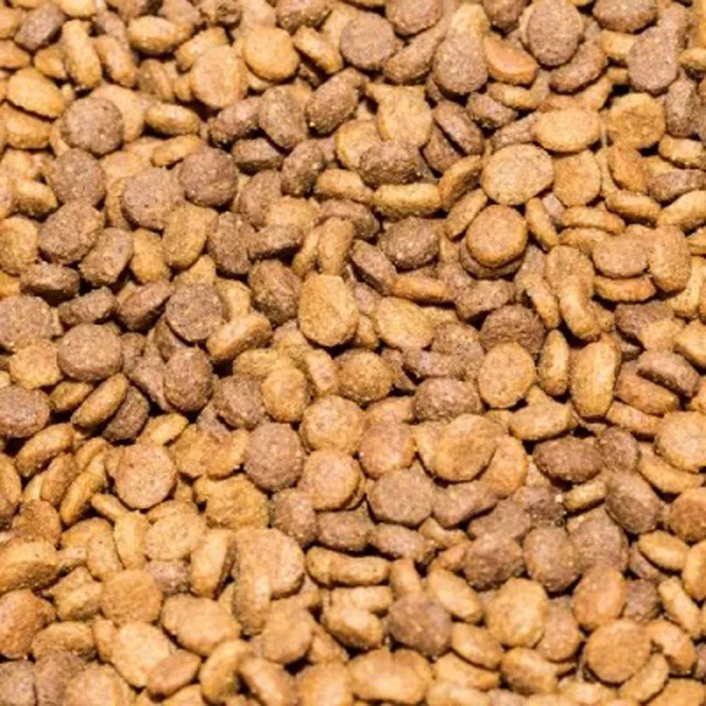Whiskas Dry Cat Food with Fish Natural 1.4 kg NEW