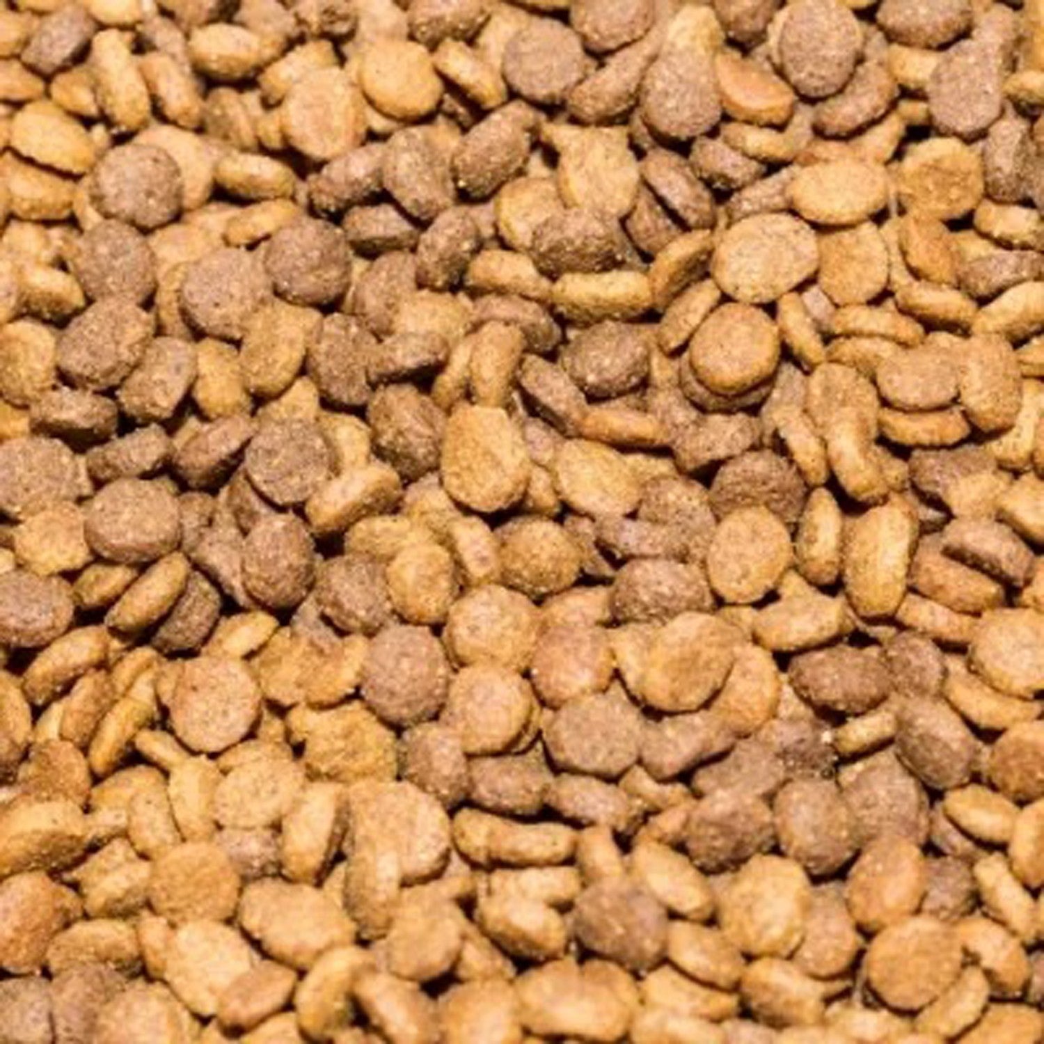 Whiskas Dry Cat Food with Fish Natural 1.4 kg NEW