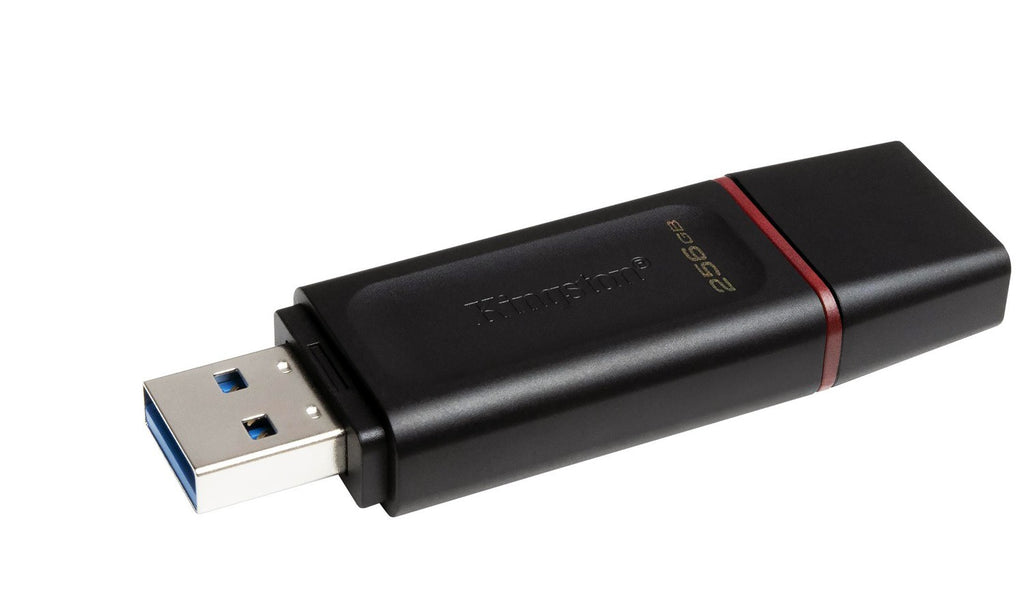 KINGSTON 256GB USB 3.2 DataTraveler Exodia