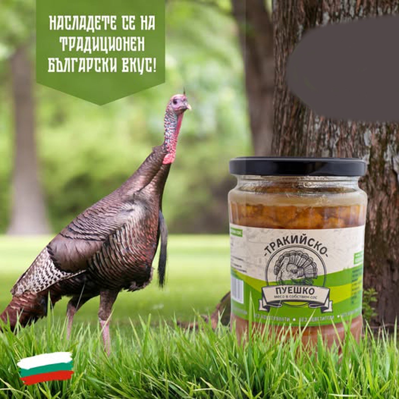 TURKEY MEAT IN OWN SAUCE Thracian 2x500g Bio Natural